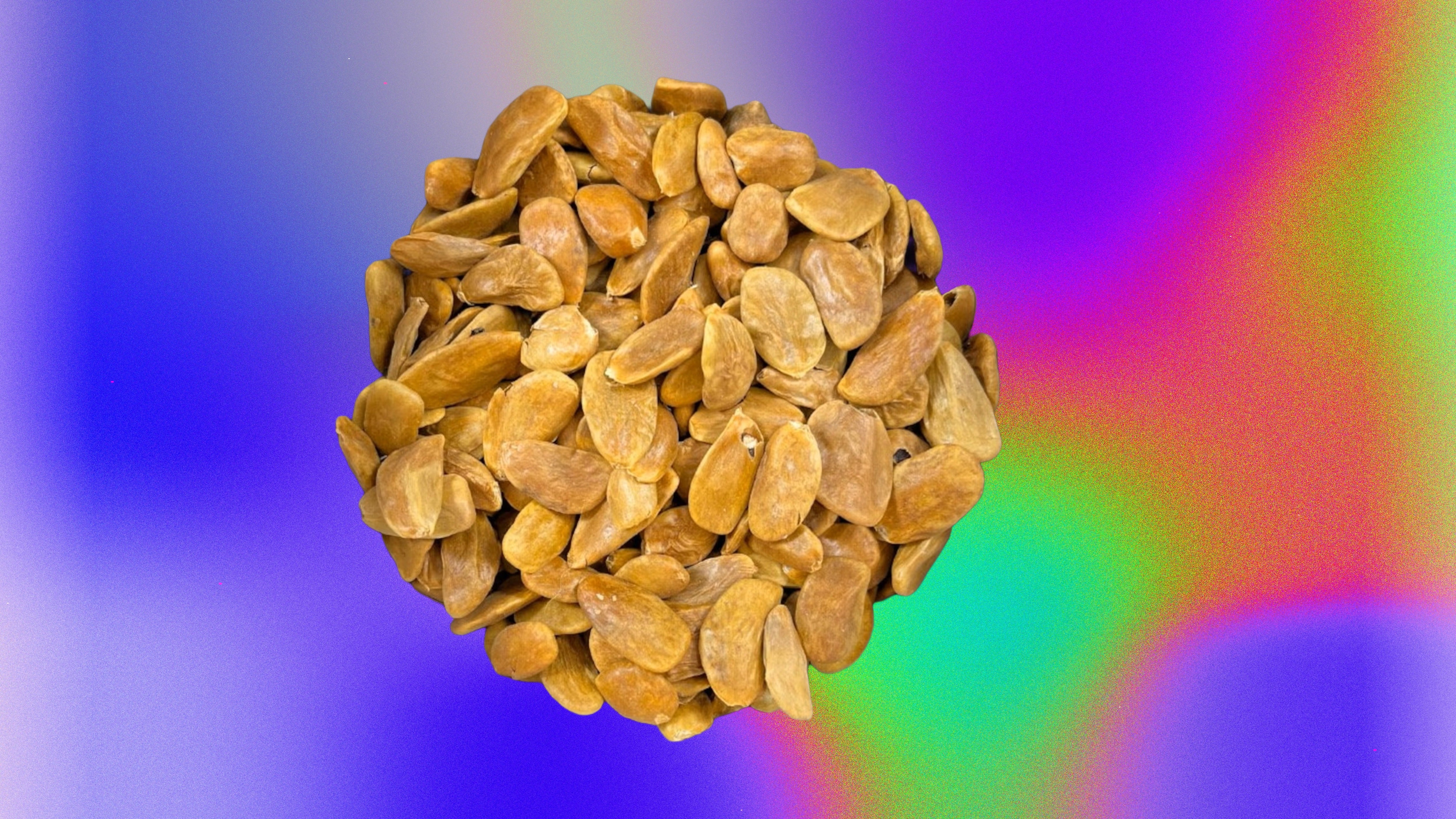 Whole akuamma seeds with hard, round brown shells, the seed is a long, round shape over a colorful gradient background. 