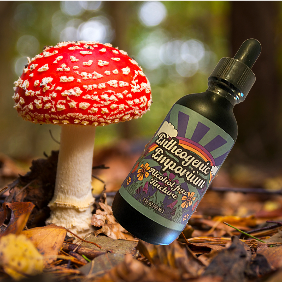 Healing Herbals Entheogenic Emporium alcohol-free tincture bottle displayed beside a red-and-white amanita mushroom on a forest floor, featuring a dark glass dropper bottle with illustrated label in a natural woodland setting.