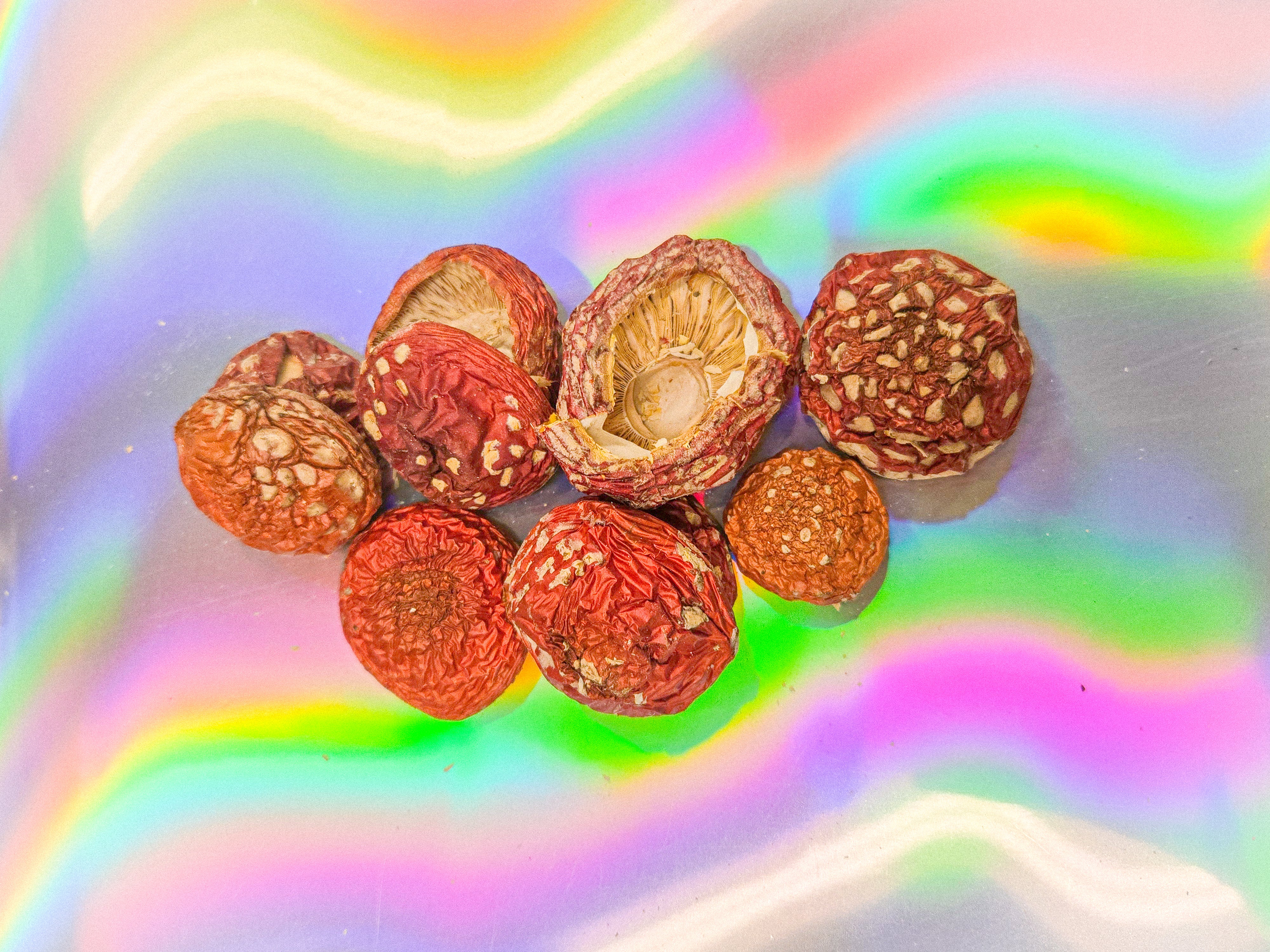 Top-down view of dried Amanita muscaria closed mushroom caps with red and white speckled texture, arranged on a soft rainbow gradient background.