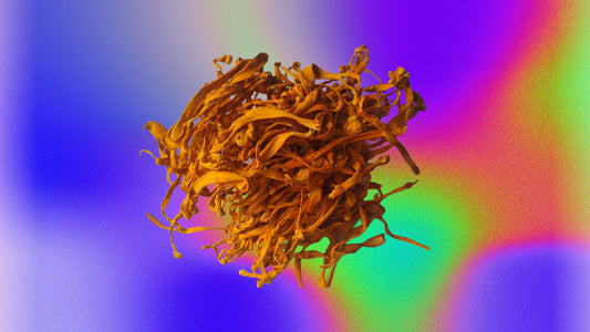 Cordycep Fruiting Body Whole Mushroom With Antioxidant Characteristics By Healing Herbals