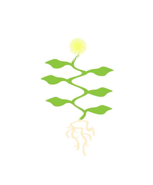 Healing Herbals Store Logo