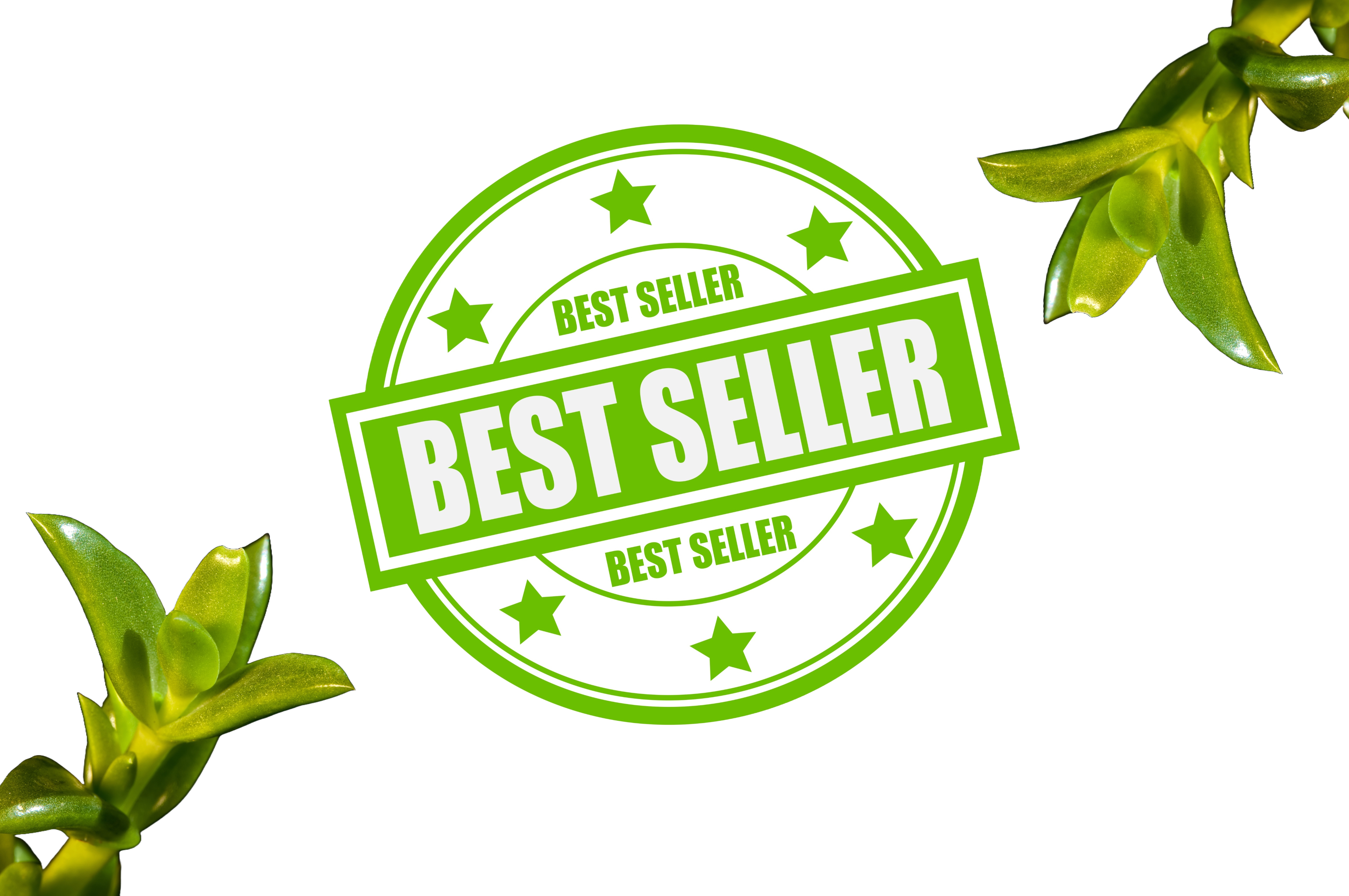 Kanna Extract Spray High Mesembrenone Best Seller Badge Healing Herbals