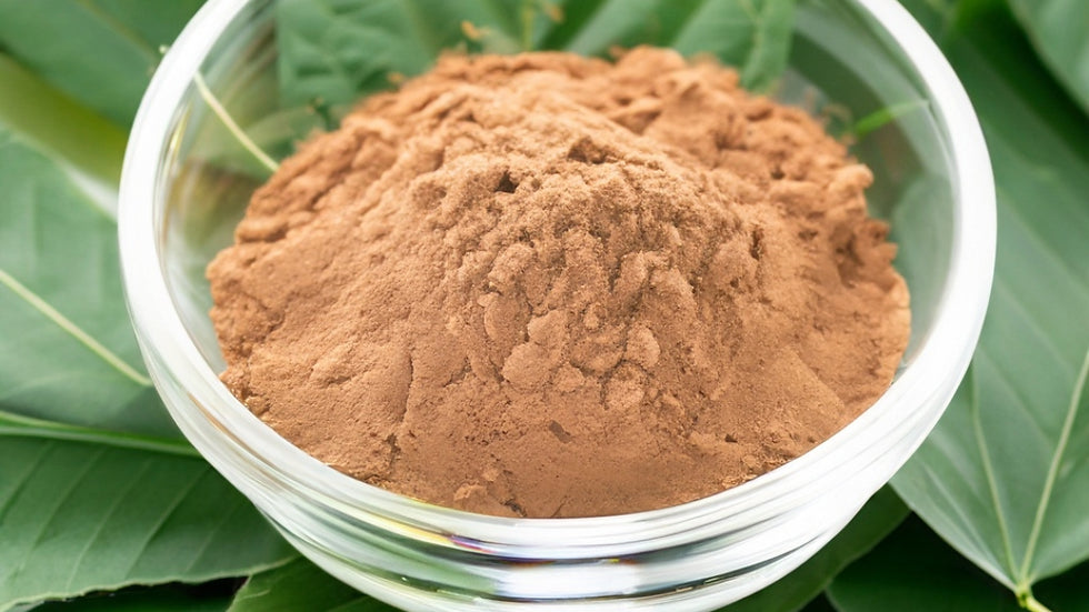 Glass bowl filled with fine brown mucuna pruriens extract powder, displayed on fresh green leaves to highlight the natural herbal ingredient.