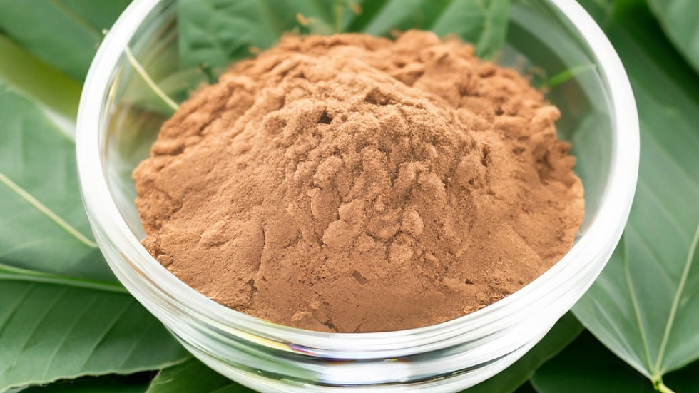 Mucuna Puriens Extract