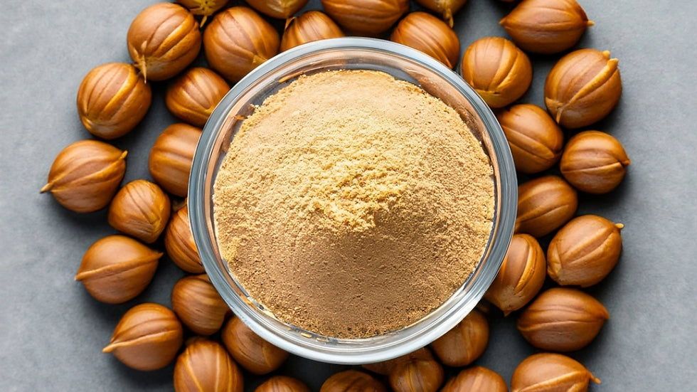 Organic betel nut powder in a clear glass bowl, finely ground light brown powder surrounded by whole dried betel nuts on a neutral gray background, Healing Herbals.