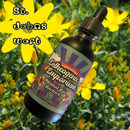 St. Johns Wort Tincture High Potency 2 FL OZ By Healing Herbals Store