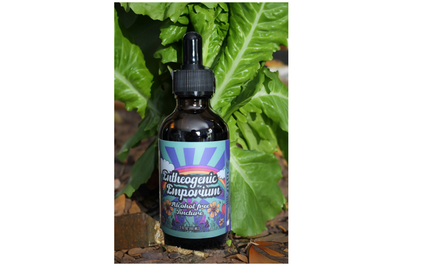 Organic Catnip Tincture-Alcohol FREE