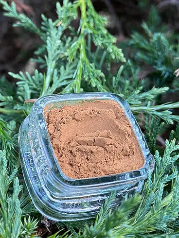 Valerian root extract powder in a small clear glass jar, light brown and finely ground, resting among fresh green pine-like foliage.