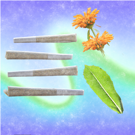 Wild Lettuce x Dagga Pre Roll