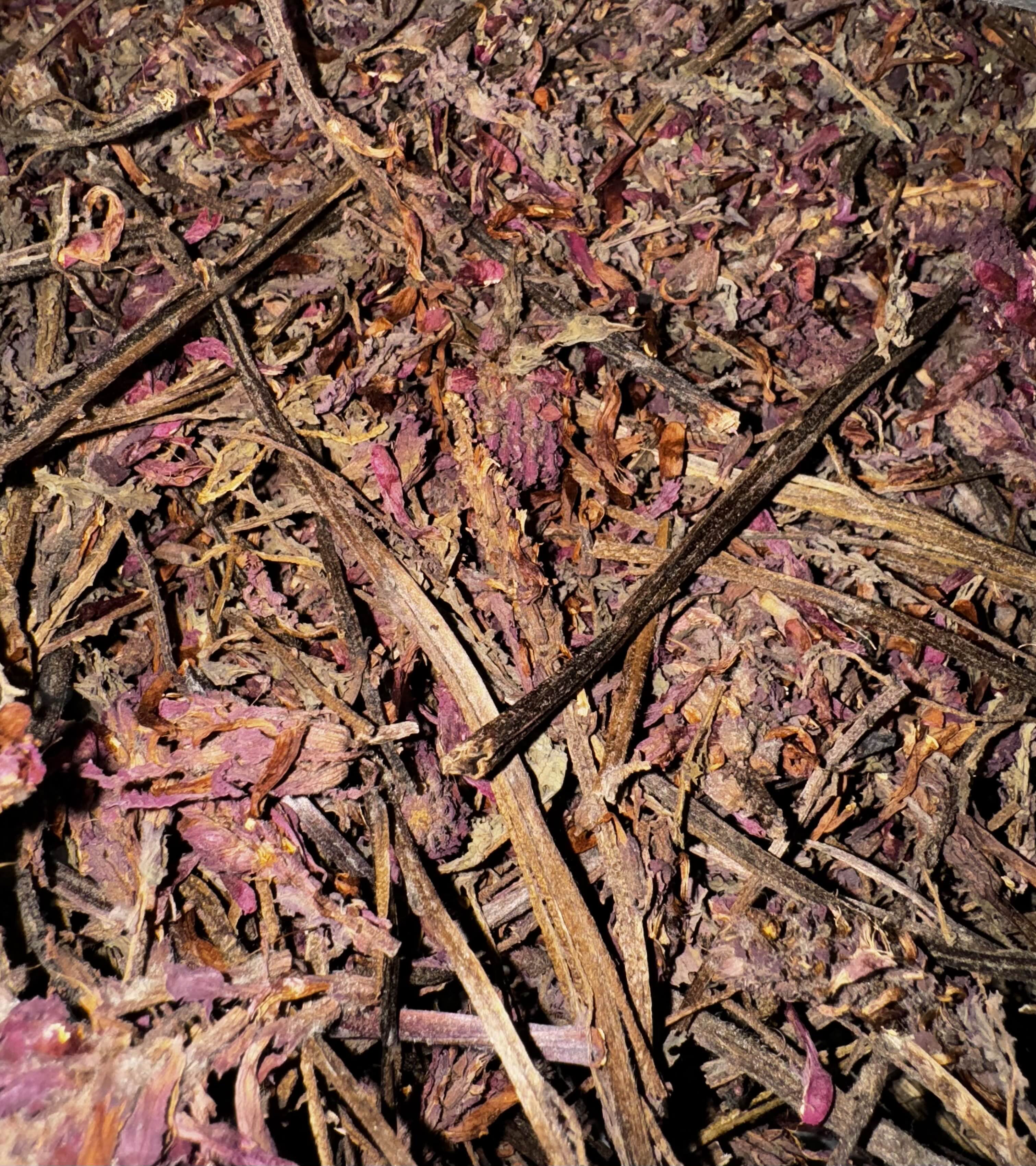 Close-up macro view of dried Indian warrior herb, showing shredded stems and leaves in deep purple, brown, and earthy tones with a coarse, fibrous texture.
