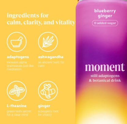 Moment Blueberry Ginger (botanical tea)