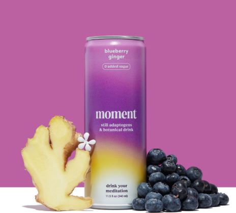 Moment Blueberry Ginger (botanical tea)