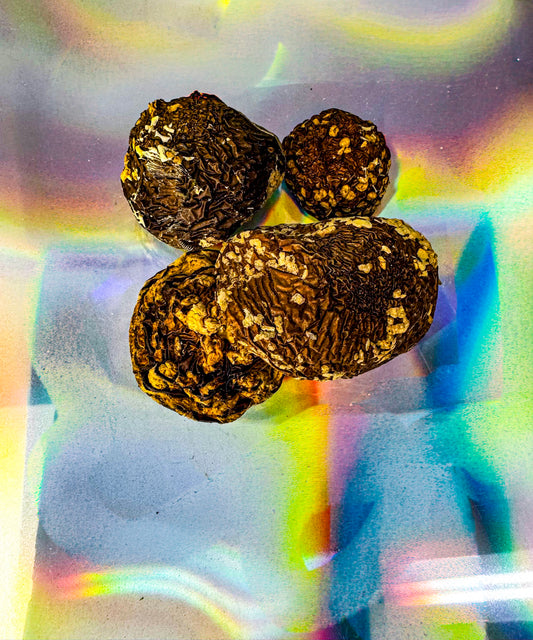 Close-up of whole dried mushroom caps with wrinkled dark brown surfaces and light textured speckles, arranged on a vibrant iridescent background with rainbow reflections.