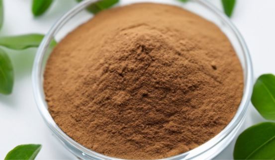 Premium Rhodiola extract powder close-up natural botanical