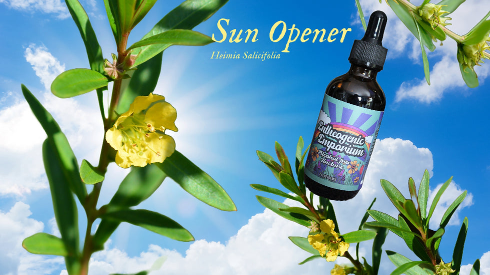 Sunopener Tincture